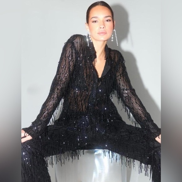 Zara Pants - NEW Zara Fringe Sequins Pants